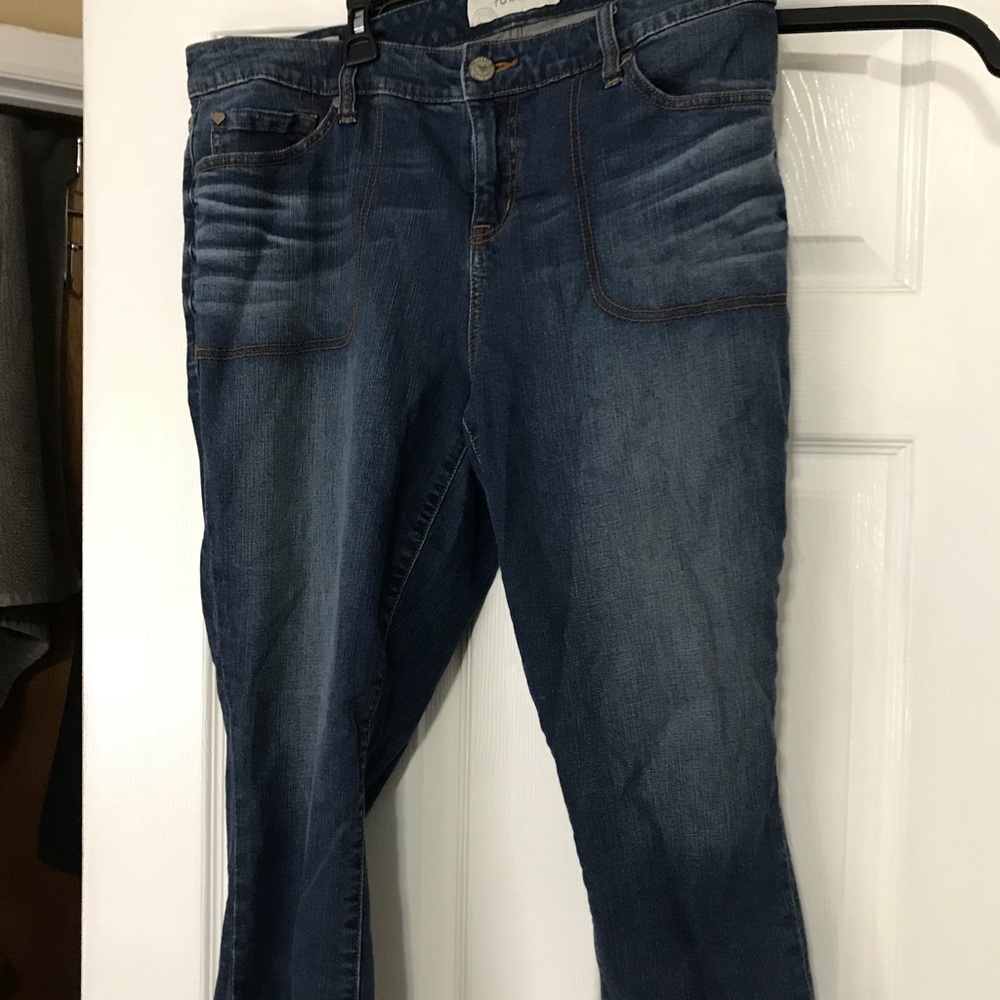 Torrid capris